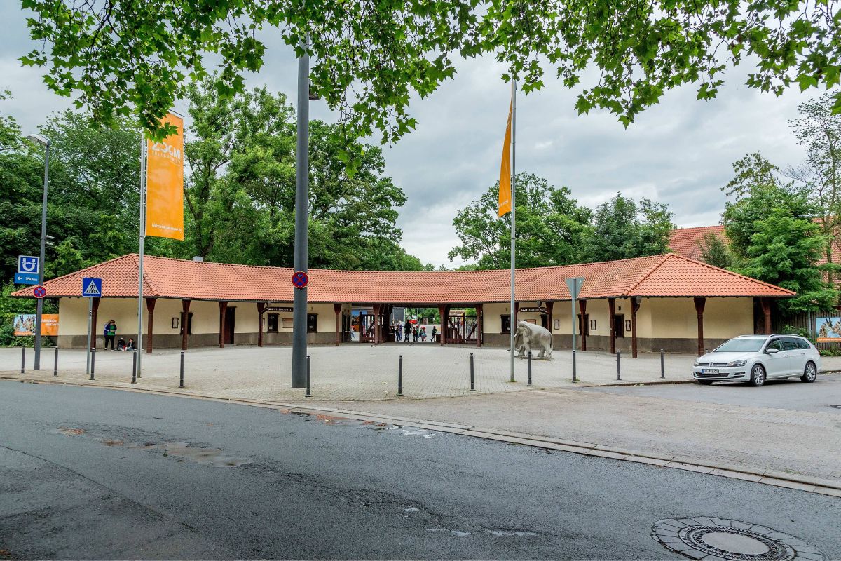 Zoom Gelsenkirchen: Kamera nimmt einzigartigen Moment auf