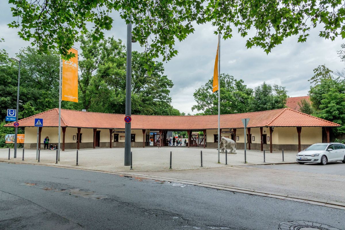 Zoom Gelsenkirchen: Besucher machen bei diesem Video große Augen