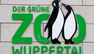 Zoo Wuppertal zeigt Video aus Gehege – Besucher trauen ihren Augen kaum