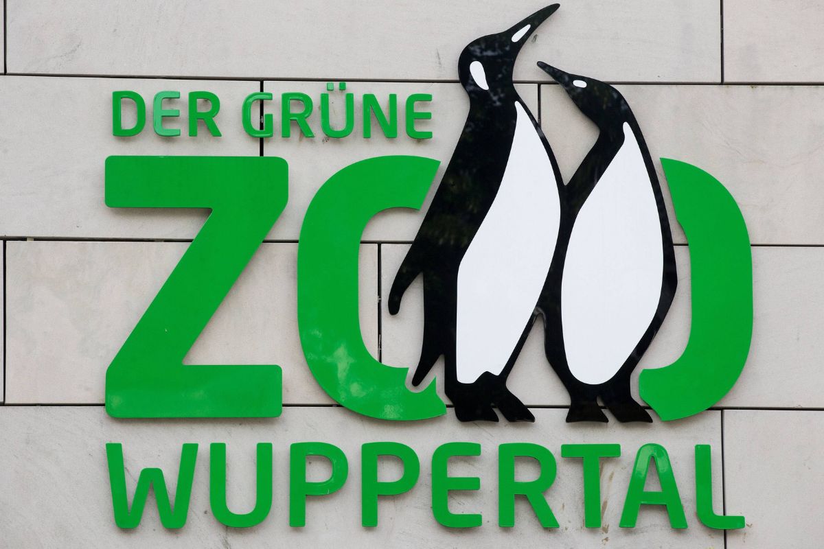 Zoo Wuppertal zeigt Video aus Gehege – Besucher trauen ihren Augen kaum