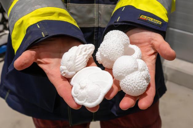 3D-Modelle der in den Sedimenten enthaltenen Mikrofossilien.