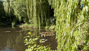 Droht der einzigen Wasser-Oase in Prenzlauer Berg das Ende?