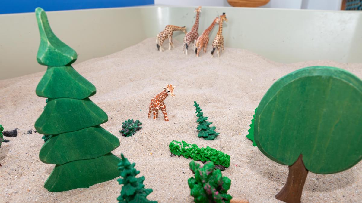 Gewalt gegen Kinder in SH: Blick ins Kinderschutz-Zentrum Kiel