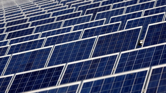 Eine Fotovoltaik-Solarstromanlage © picture alliance / Geisler-Fotopress | Christoph Hardt/Geisler-Fotopres Foto: | Christoph Hardt/Geisler-Fotopres