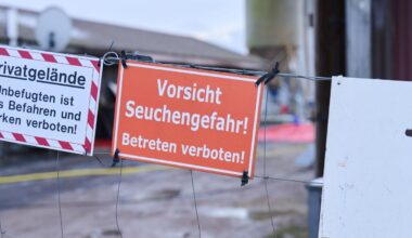 Brandenburg und Berlin frei von Maul- und Klauenseuche