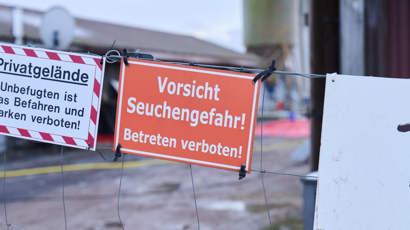 Brandenburg und Berlin frei von Maul- und Klauenseuche