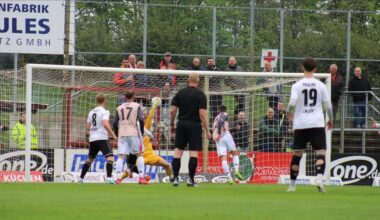 Fußball | Regionalliga: Joker Eshele rettet dem HFC drei Punkte in Meuselwitz