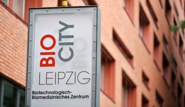 Start-ups für grüne Technologien auf Erfolgskurs