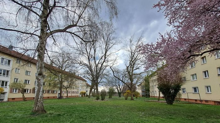 Wohnungsbau in Stuttgart: 300 neue Wohnungen in Steinhaldenfeld