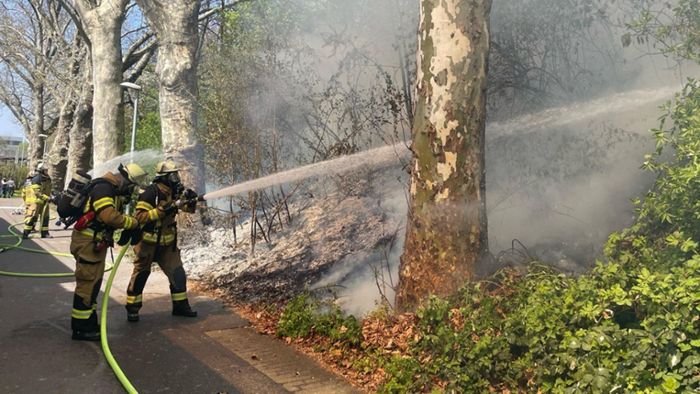 Brand in Stuttgart-Untertürkheim: Gleise zeitweise gesperrt – Verzögerungen bei Stadt- und S-Bahn