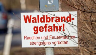 Trockenheit in Stuttgart: Hohe Waldbrandgefahr am Samstag