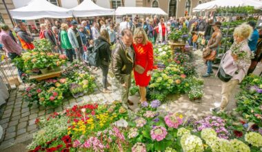 Esslinger Frühling am Samstag und Sonntag: Geöffnete Geschäfte, Gartentage und Büchermarkt - Esslingen