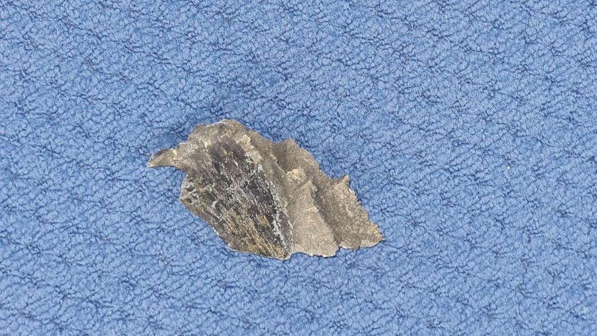 Fliegerbombe auf der Waldau gesprengt: Schrapnell schlägt in Tennishalle ein