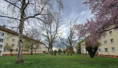 Wohnungsbau in Stuttgart: 300 neue Wohnungen in Steinhaldenfeld