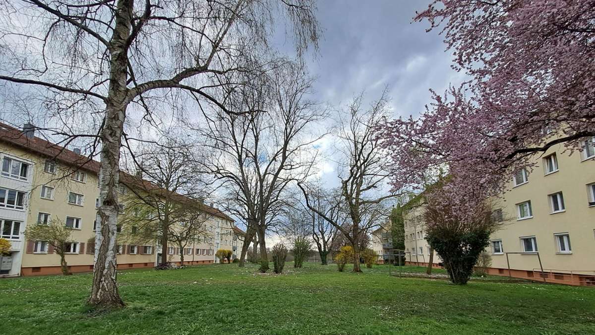 Wohnungsbau in Stuttgart: 300 neue Wohnungen in Steinhaldenfeld