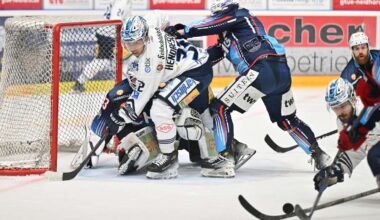 DEL2: Dresden steigt in die DEL auf - Düsseldorf muss runter - Regional