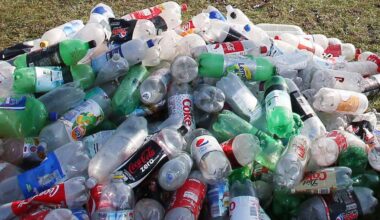 Umweltverschmutzung: Europas Kampf gegen die Plastikflut