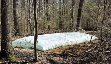 Fliegerbombe auf der Waldau: Vier Autos bei Sprengung beschädigt