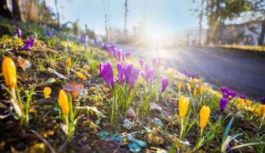Wetterbilanz für Stuttgart: Ein Frühling light in der Stadt