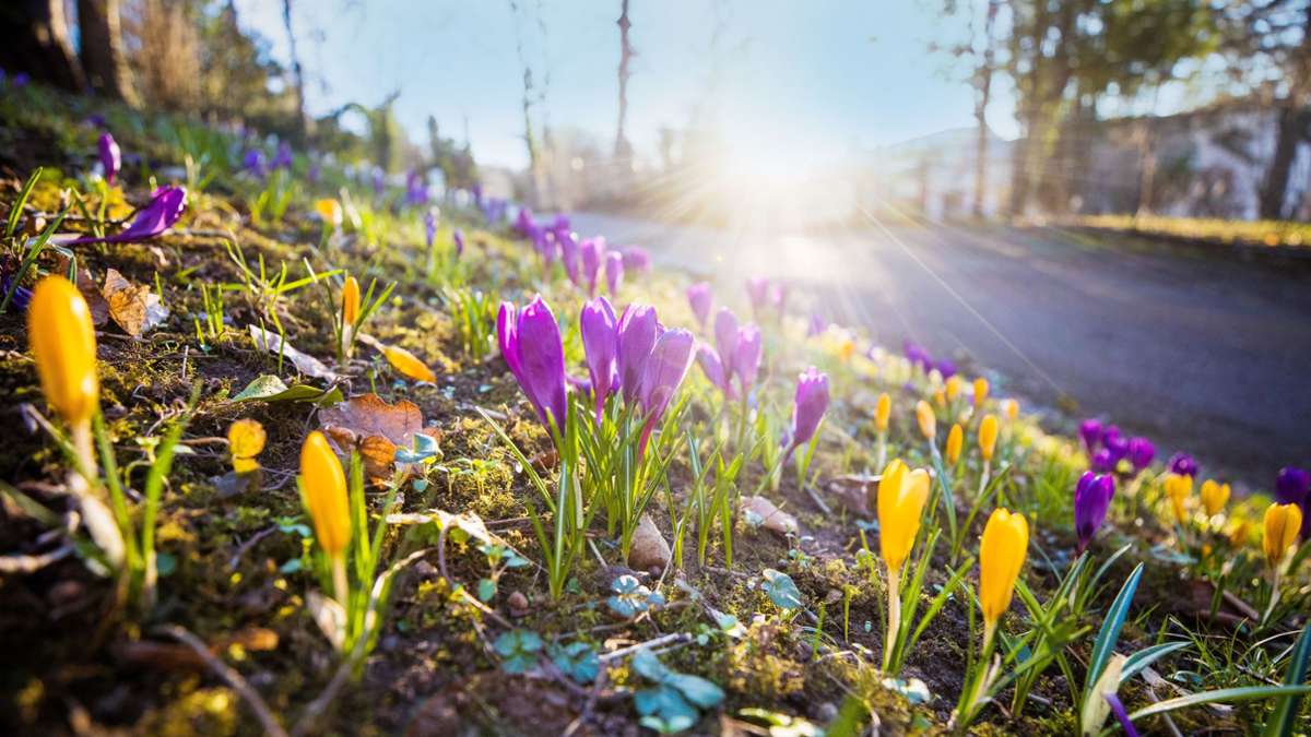 Wetterbilanz für Stuttgart: Ein Frühling light in der Stadt