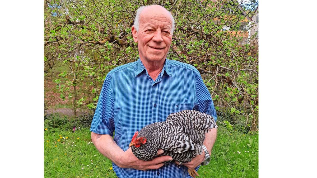 Nachgefragt: Warum immer mehr Menschen Geflügel daheim halten wollen