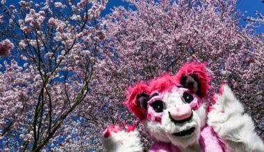 Hanami-Fest in voller Blüte: Kirschblütenzauber und Cosplay in den Gärten der Welt in Berlin