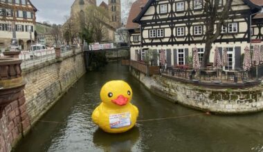 Entenrennen beim Esslinger Frühling: Endspurt vor dem Startschuss: Es sind noch Enten zu haben - Esslingen