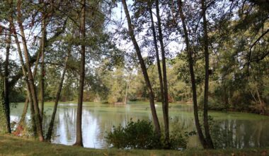 Stuttgart-Möhringen: Feuerwehr am Riedsee im Einsatz