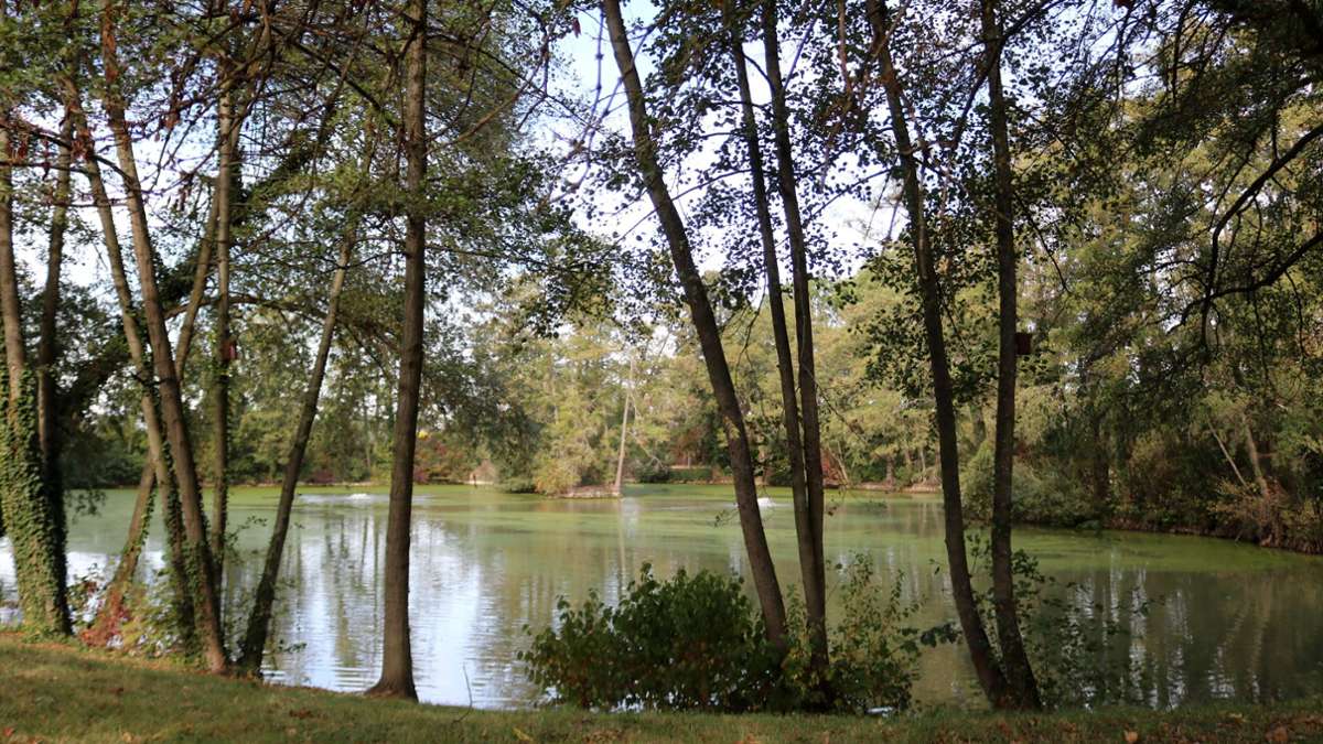 Stuttgart-Möhringen: Feuerwehr am Riedsee im Einsatz