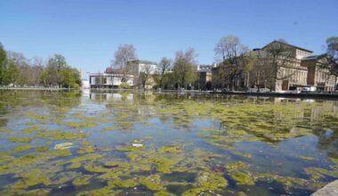 Schlossgarten in Stuttgart: Schluss mit Algen und Dreck: Der Eckensee wird geputzt