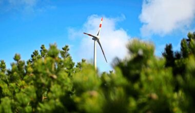 Energiewende in der Region Stuttgart: Windkraft – Regionalversammlung übt Kritik am Land