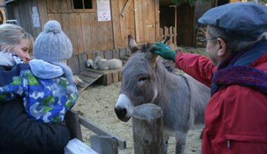 Weihnachtsmarkt Stuttgart: Stadträte schaffen lebende Krippe ab