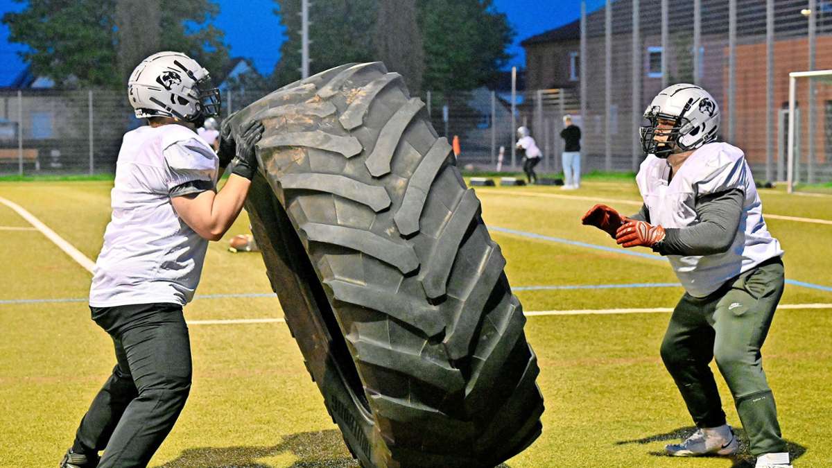 American Football Oberliga: Das Ei der Cougars fliegt jetzt in der Oberliga