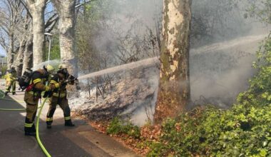 Brand in Stuttgart-Untertürkheim: Gleise zeitweise gesperrt – Verzögerungen bei Stadt- und S-Bahn