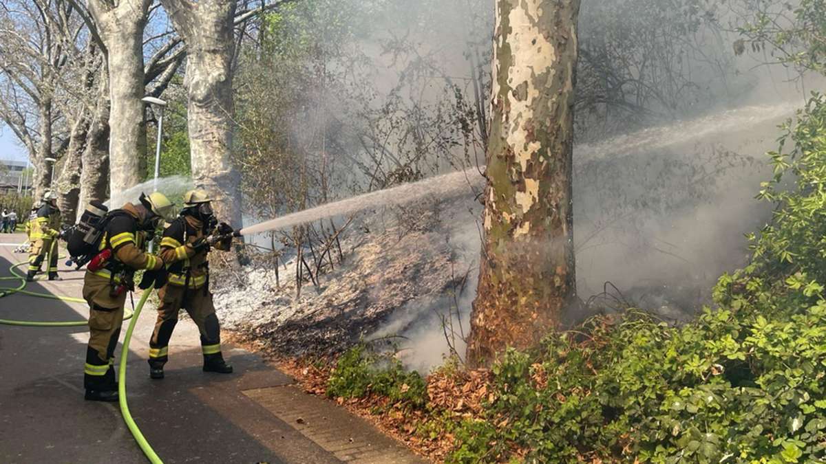 Brand in Stuttgart-Untertürkheim: Gleise zeitweise gesperrt – Verzögerungen bei Stadt- und S-Bahn