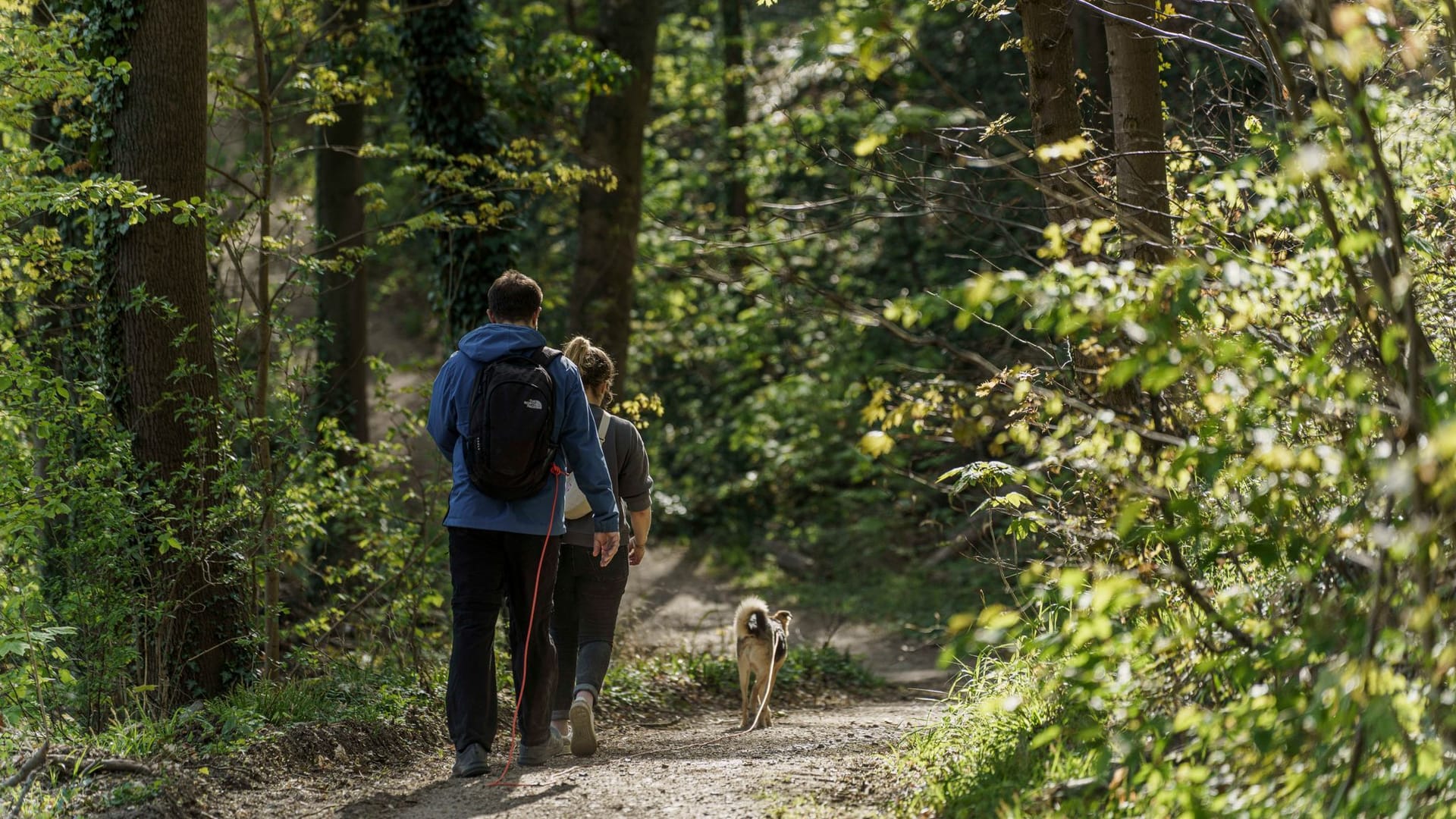 Alsbach-Hähnlein: Menschen wandern unterhalb von Schloss Auerbach.
