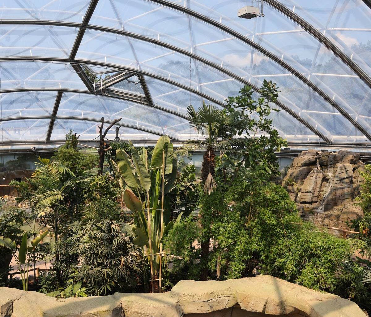 Ab in den Allwetterzoo - Antenne Münster