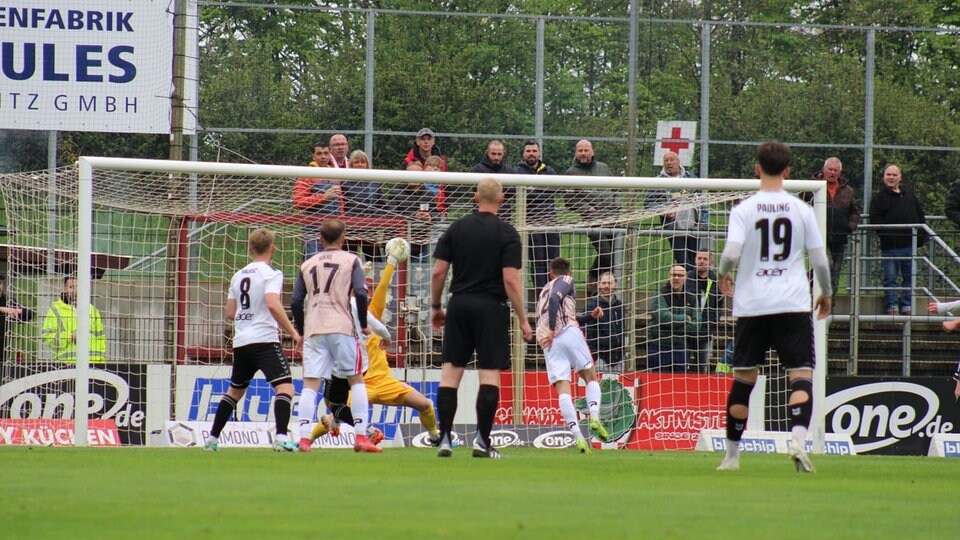 Regionalliga: Joker Eshele rettet dem Halleschen FC drei Punkte in Meuselwitz