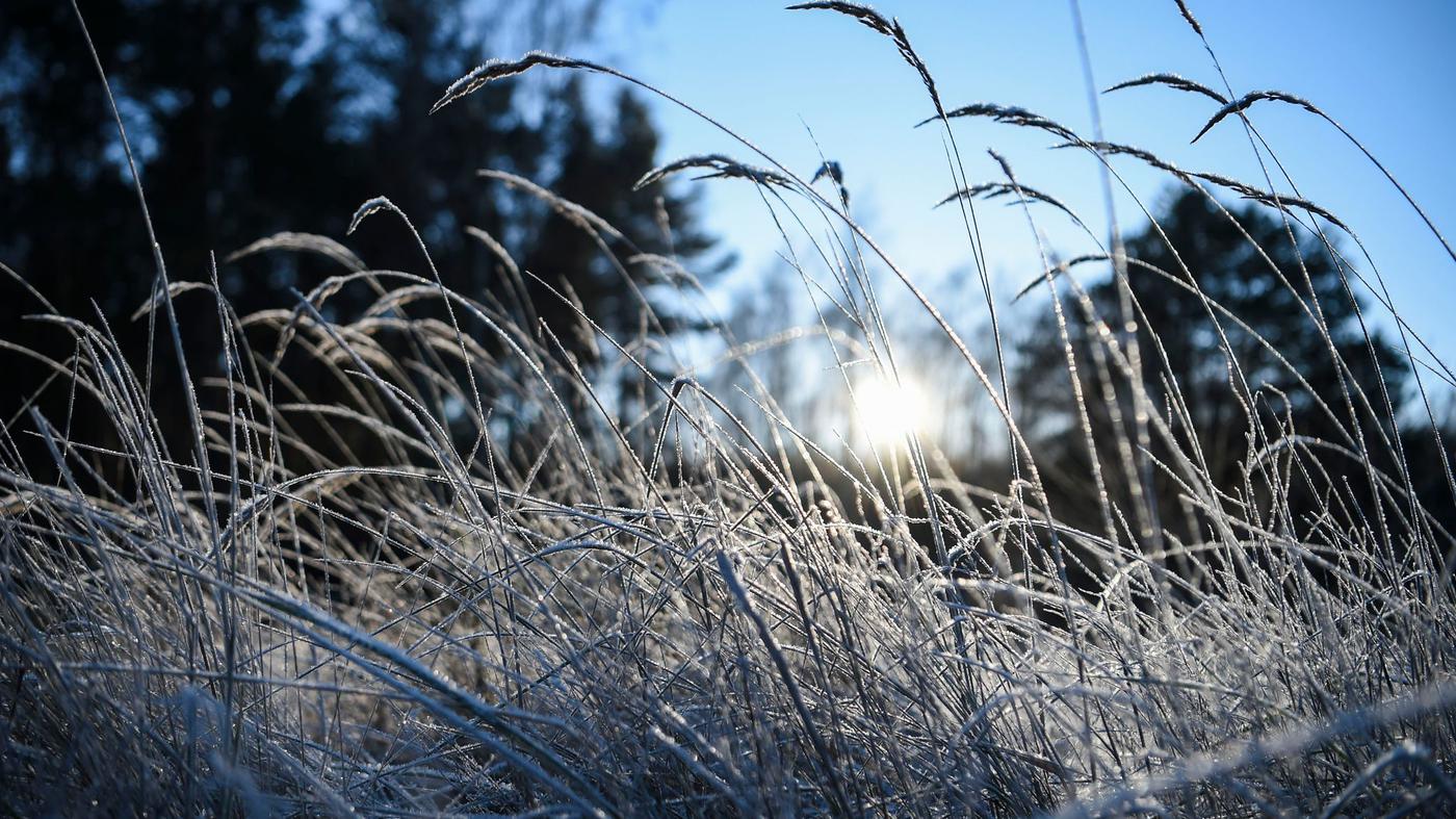 Nächtlicher Frost in Berlin und Brandenburg erwartet