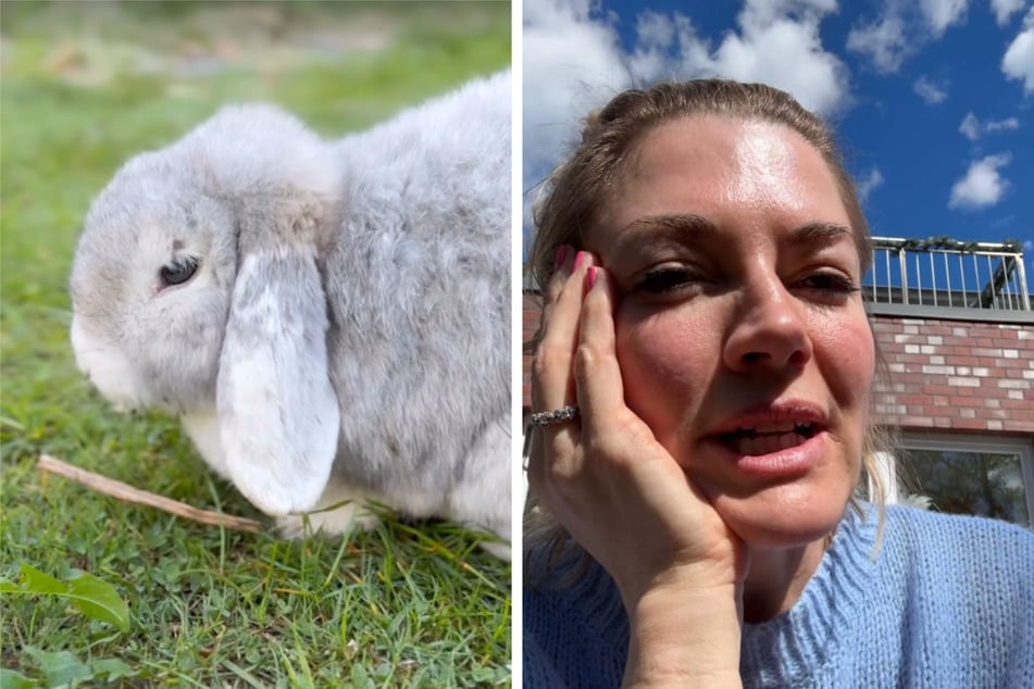 Schauspielerin Nina Bott (47) musste sich am Samstag von ihrem geliebten Zwergkaninchen Olaf verabschieden.