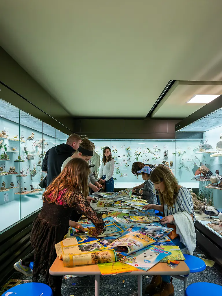 Museum der Natur