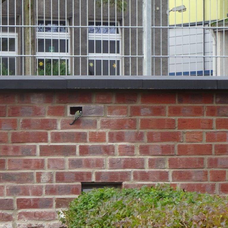 Mauer in Essen ist jetzt ein Zuhause für Vögel