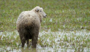 Regen, Gewitter, Temperatursturz: So wird das Osterwetter im Norden | NDR.de - Nachrichten