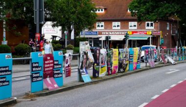 Linke in Hamburg will weniger Wahlplakate | NDR.de - Nachrichten