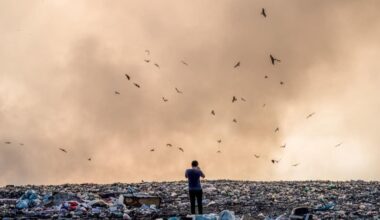 Enzym aus Leipzig revolutioniert Recycling