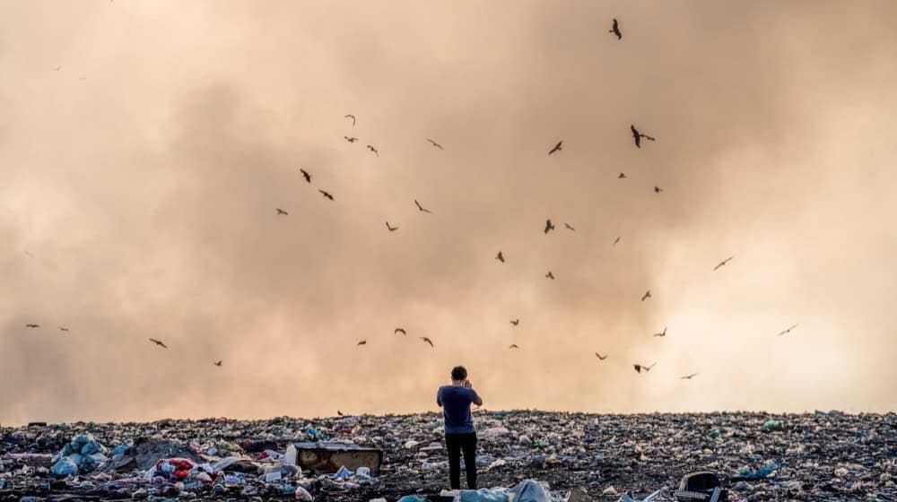 Enzym aus Leipzig revolutioniert Recycling