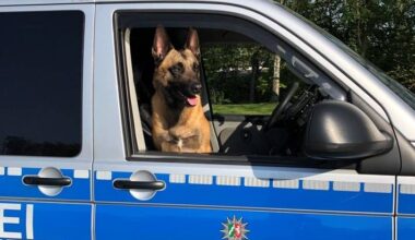 Polizeihund in Essen schnappt Smartphone-Räuber