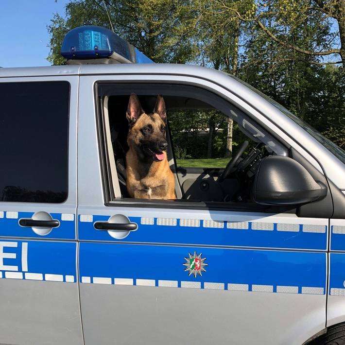 Polizeihund in Essen schnappt Smartphone-Räuber