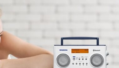 Trotz DAB+ & Webradio: Mehrheit hört nur ein Radioprogramm