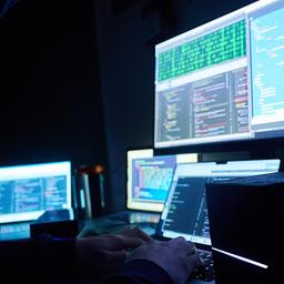Symbolbild: Fiktive html-Seiten und Hacker-Programme sind auf Bildschirmen zu sehen, während ein Mann seinen Hände auf der Tastatur hat. (Quelle: dpa/A. Riedl)